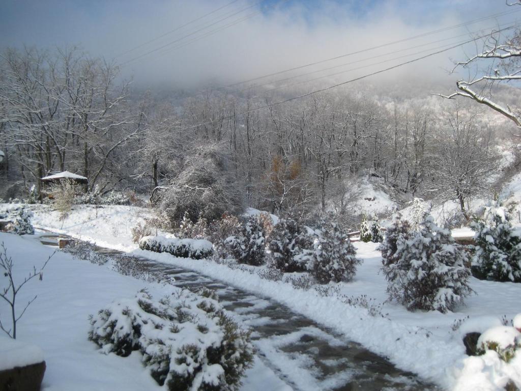 Kraevo Villa Mark المظهر الخارجي الصورة