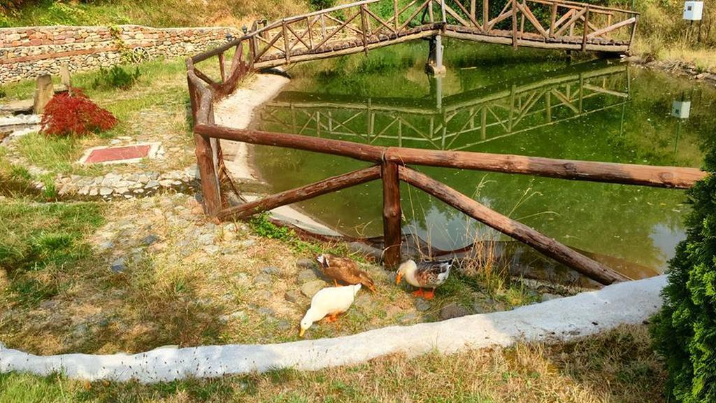 Kraevo Villa Mark المظهر الخارجي الصورة